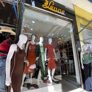 Lenne Brazil